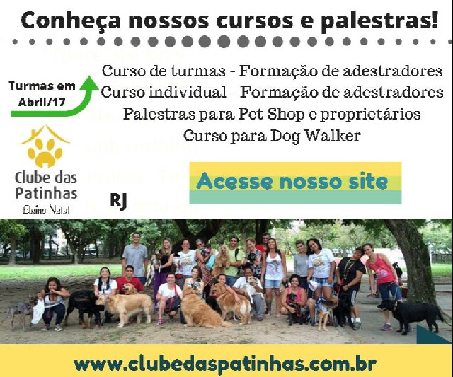 Curso adestramento de cães